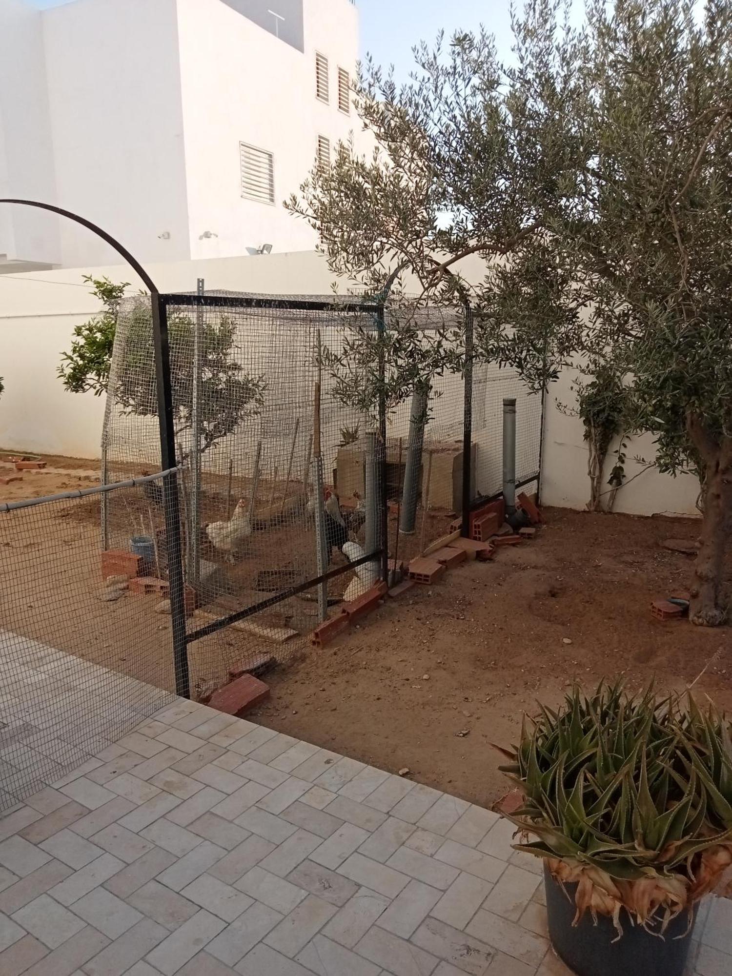 Chez Mme Jaouida Bed and Breakfast Καϊρουάν Εξωτερικό φωτογραφία